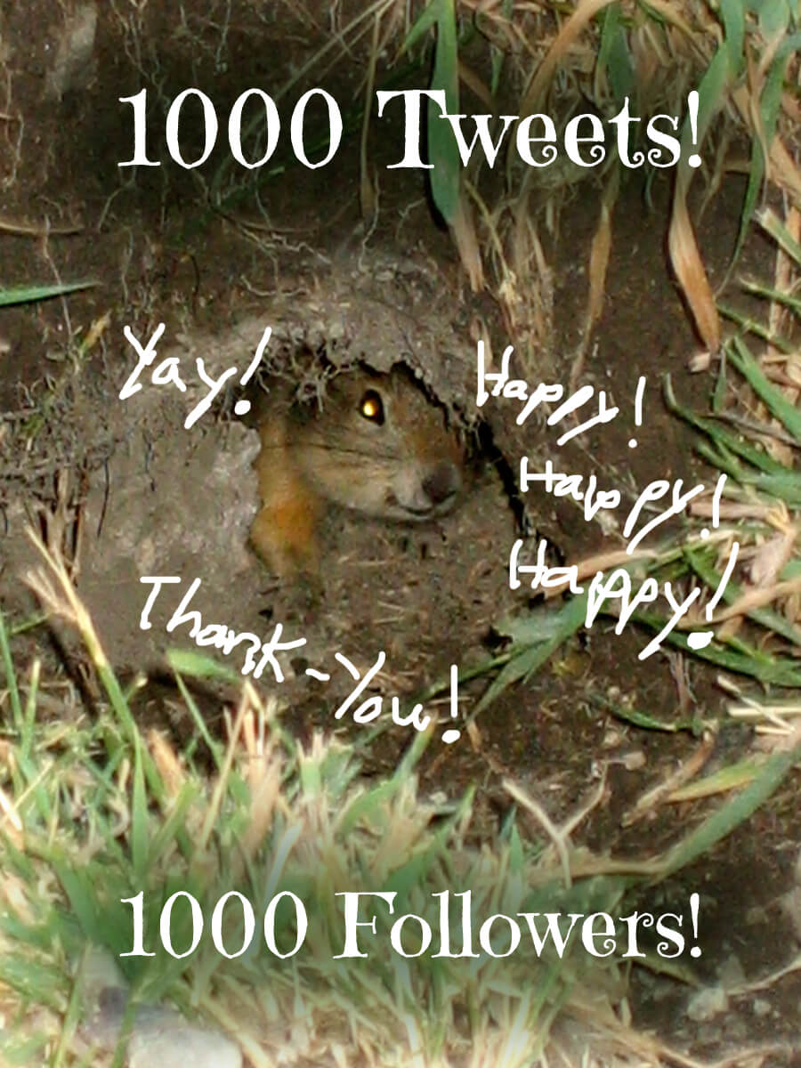 1000 Tweets!
