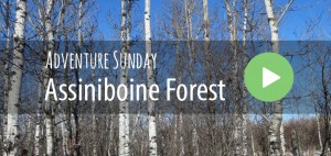 Adventure Sunday - Assiniboine Forest