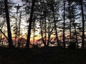 Hecla Island Sunset Trees