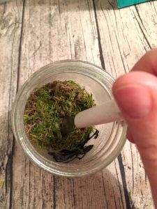 Add moss to fairy jar