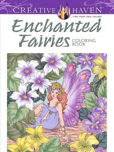 Enchanted fairies coloring book