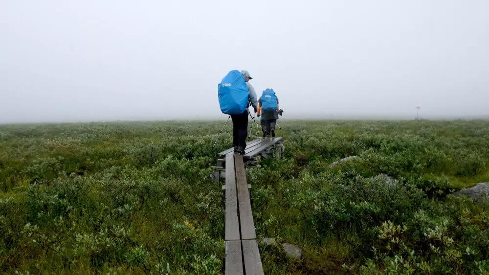 Hikers on a board walk